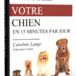 Dressez votre chien en 15 minutes par jour