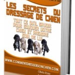 Les secrets du dressage de chien